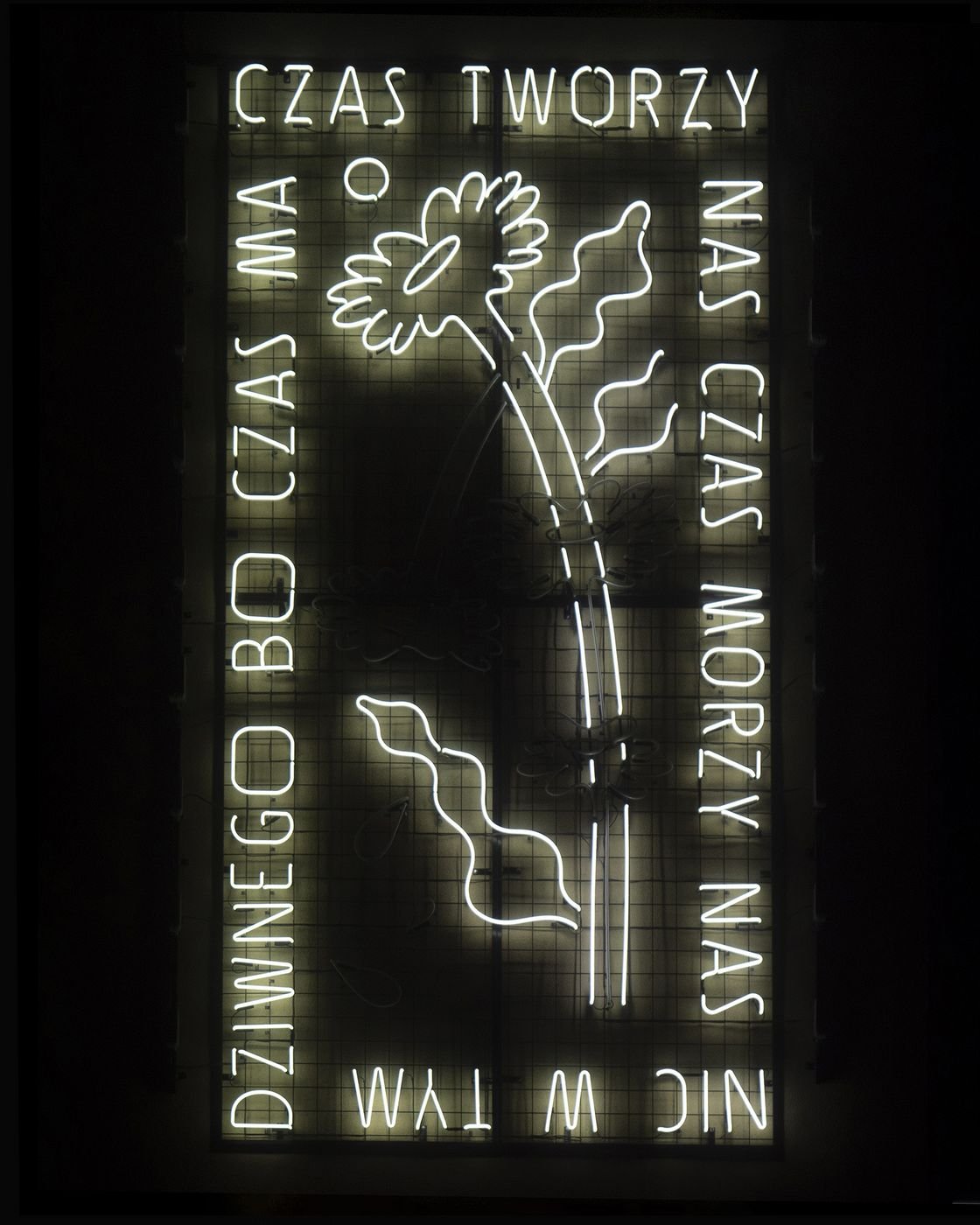 Neon przy ul. Żwirki, fot. LODZ.PL