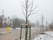 fot. Paweł Łacheta