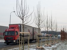 fot. ŁÓDŹ.PL