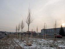 fot. ŁÓDŹ.PL