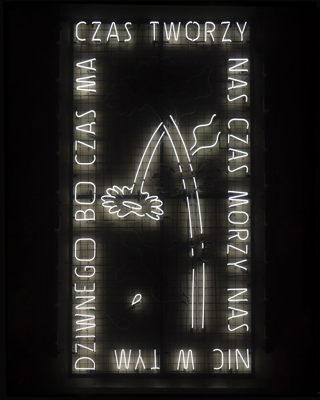 Neon przy ul. Żwirki, fot. LODZ.PL