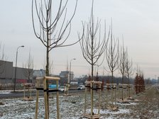 fot. ŁÓDŹ.PL