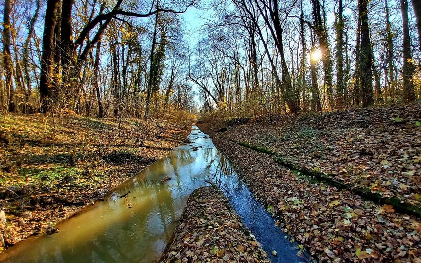 fot. ŁÓDŹ.PL