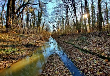 fot. ŁÓDŹ.PL