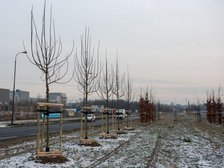 fot. ŁÓDŹ.PL