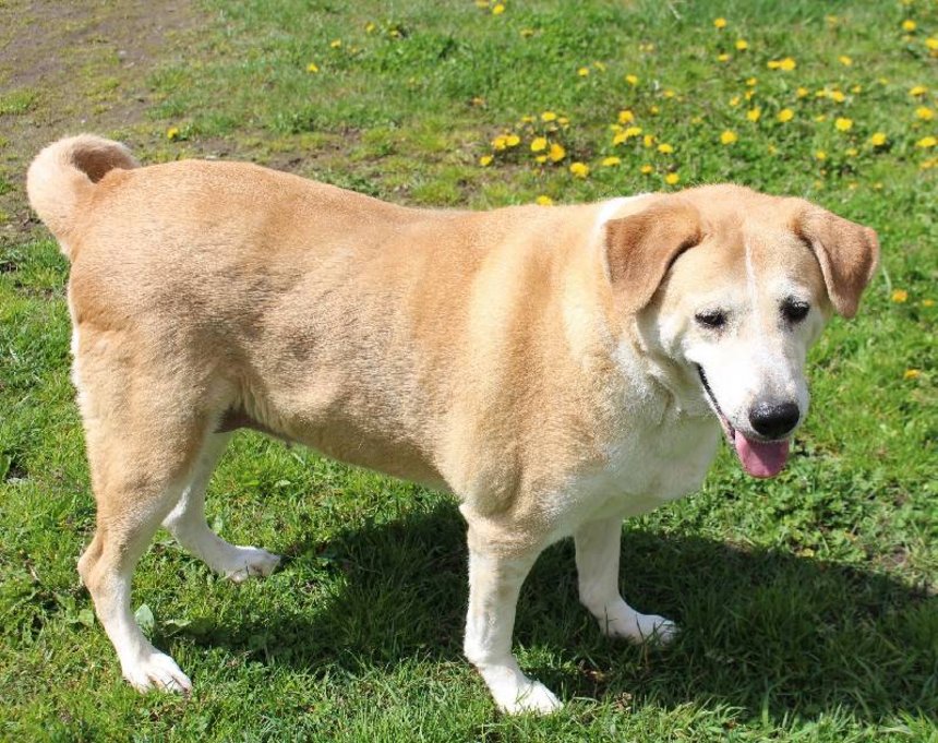 Schronisko w Łodzi fot. ŁÓDŹ.PL